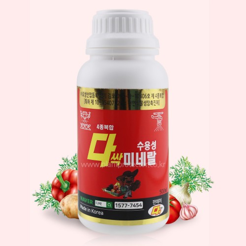 ��ǰ ������